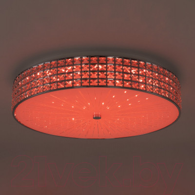 Потолочный светильник Citilux Портал CL32410G1