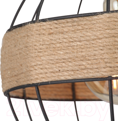 Потолочный светильник Vitaluce V3973-1/1S