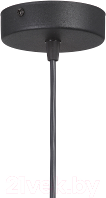 Потолочный светильник Vitaluce V4543-1/1S