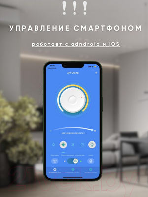 Потолочный светильник Aitin-Pro B8817B/460x460 (черный/золото PBP)