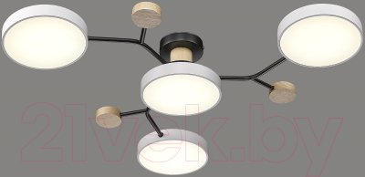 Потолочный светильник Velante 446-007-04