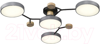 Потолочный светильник Velante 446-207-04 - фото