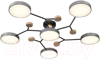 Потолочный светильник Velante 446-207-06 - фото