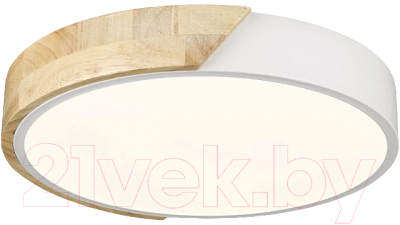 Потолочный светильник Velante 445-007-01 - фото