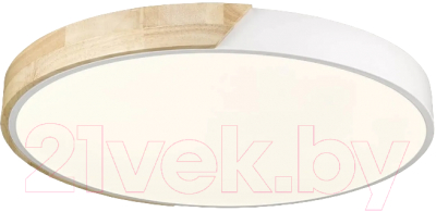 Потолочный светильник Velante 445-047-01 - фото