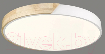 Потолочный светильник Velante 445-047-01