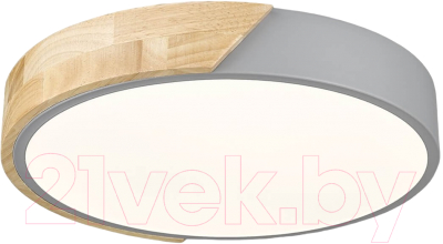 Потолочный светильник Velante 445-207-01 - фото