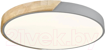 Потолочный светильник Velante 445-247-01 - фото