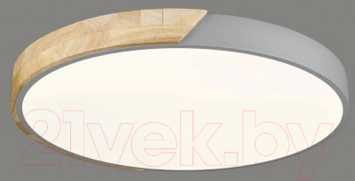 Потолочный светильник Velante 445-247-01