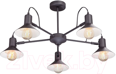 Люстра Vitaluce V4874-1/5PL - фото