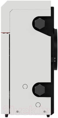 Газовый котел Лемакс Direct 10