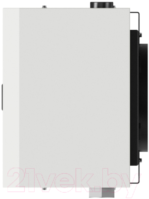 Газовый котел Лемакс Direct 10