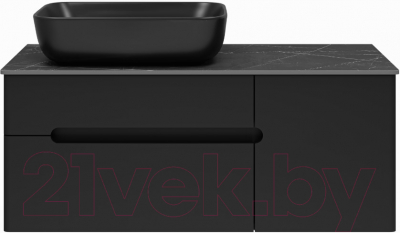 Тумба под умывальник Misty Роял 100 / П-Роя-01100-021П2Я (подвесная, черный)