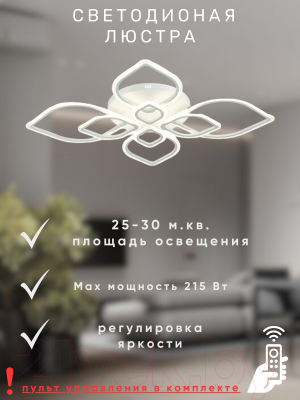 Потолочный светильник Aitin-Pro L26514/8