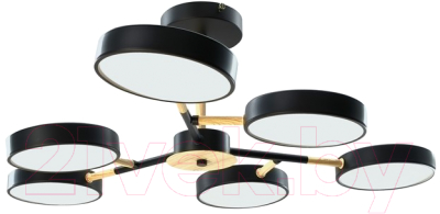 Потолочный светильник Aitin-Pro X9603/6 BK - фото