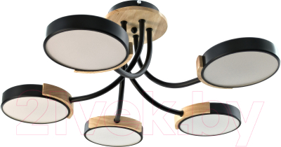 Люстра Aitin-Pro X9606/5 - фото