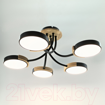 Люстра Aitin-Pro X9606/5