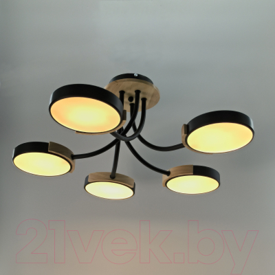 Люстра Aitin-Pro X9606/5