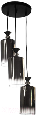 Люстра Aitin-Pro НСБ 01-3x60-101 / N5355/3 - фото