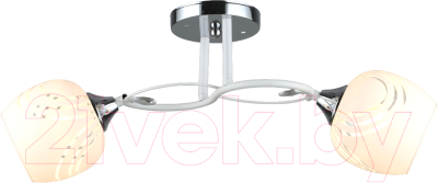 Потолочный светильник Aitin-Pro НПБ 02-2x60-101 / A3771/2 (белый/хром) - фото