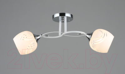 Потолочный светильник Aitin-Pro НПБ 02-2x60-101 / A3771/2 (белый/хром)