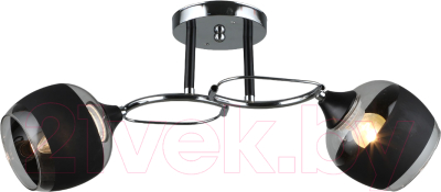 Потолочный светильник Aitin-Pro НПБ 02-2x60-101 / A3791/2 - фото