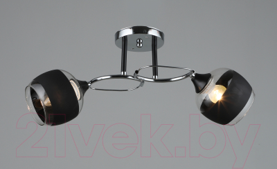 Потолочный светильник Aitin-Pro НПБ 02-2x60-101 / A3791/2