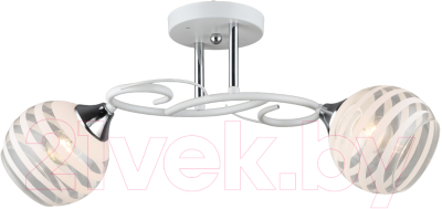 Потолочный светильник Aitin-Pro НПБ 02-2x60-101 / C1712/2 (белый/хром) - фото