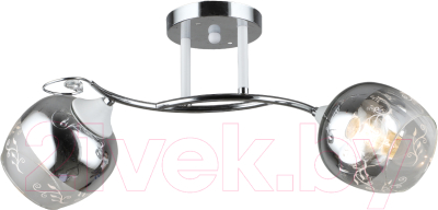 Потолочный светильник Aitin-Pro НПБ 02-2x60-101 / C1720/2 (хром/белый) - фото