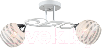 Потолочный светильник Aitin-Pro НПБ 02-2x60-101 / C1722/2 (белый/хром) - фото