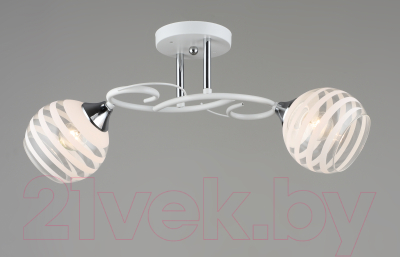 Потолочный светильник Aitin-Pro НПБ 02-2x60-101 / C1722/2 (белый/хром)