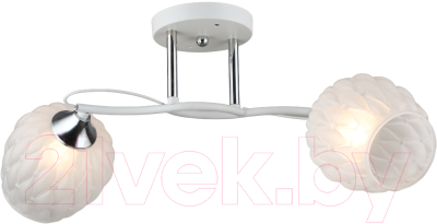 Потолочный светильник Aitin-Pro НПБ 02-2x60-101 / C1724/2 - фото