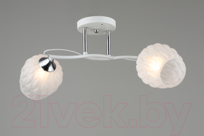 Потолочный светильник Aitin-Pro НПБ 02-2x60-101 / C1724/2