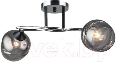 Потолочный светильник Aitin-Pro НПБ 02-2x60-101 / C1725/2 (хром/черный) - фото