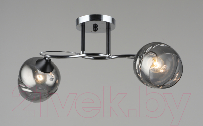 Потолочный светильник Aitin-Pro НПБ 02-2x60-101 / C1725/2 (хром/черный)