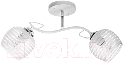 Потолочный светильник Aitin-Pro НПБ 02-2x60-101 / C1726/2 - фото