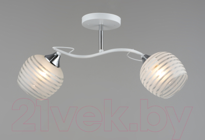 Потолочный светильник Aitin-Pro НПБ 02-2x60-101 / C1726/2