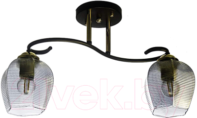 Потолочный светильник Aitin-Pro НПБ 02-2x60-101 / N4712/2 - фото