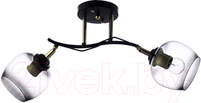 Потолочный светильник Aitin-Pro НПБ 02-2x60-101 / N4728/2 - фото