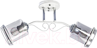 Потолочный светильник Aitin-Pro НПБ 02-2x60-101 / N4849/2 (белый/хром) - фото