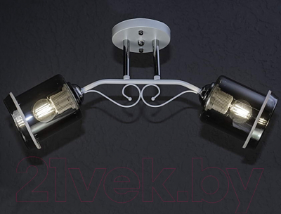 Потолочный светильник Aitin-Pro НПБ 02-2x60-101 / N4849/2 (белый/хром)