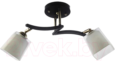 Потолочный светильник Aitin-Pro НПБ 02-2x60-101 / N5276/2 (кофе/золото) - фото