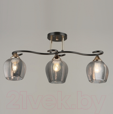 Люстра Aitin-Pro НПБ 02-3x60-101 / N4712/3