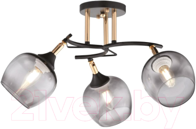 Люстра Aitin-Pro НПБ 02-3x60-101 / N4728/3 - фото