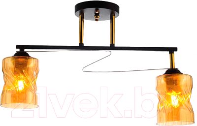 Потолочный светильник Aitin-Pro НПБ 02-2x60-101 / A4056/2 (черный/золото) - фото
