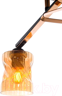 Потолочный светильник Aitin-Pro НПБ 02-2x60-101 / A4056/2 (черный/золото)