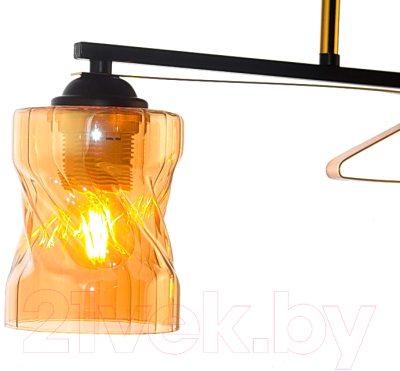 Потолочный светильник Aitin-Pro НПБ 02-2x60-101 / A4056/2 (черный/золото)