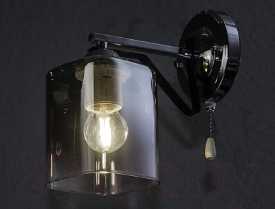 Потолочный светильник Aitin-Pro НПБ 02-2x60-101 / A4057/2 (хром/черный)