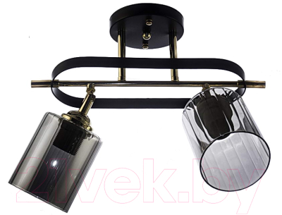 Потолочный светильник Aitin-Pro НПБ 02-2x60-101 / N5282/2 (кофе/золото) - фото