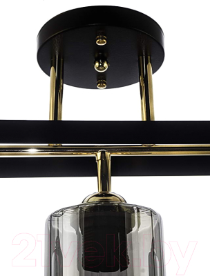 Потолочный светильник Aitin-Pro НПБ 02-2x60-101 / N5282/2 (кофе/золото)